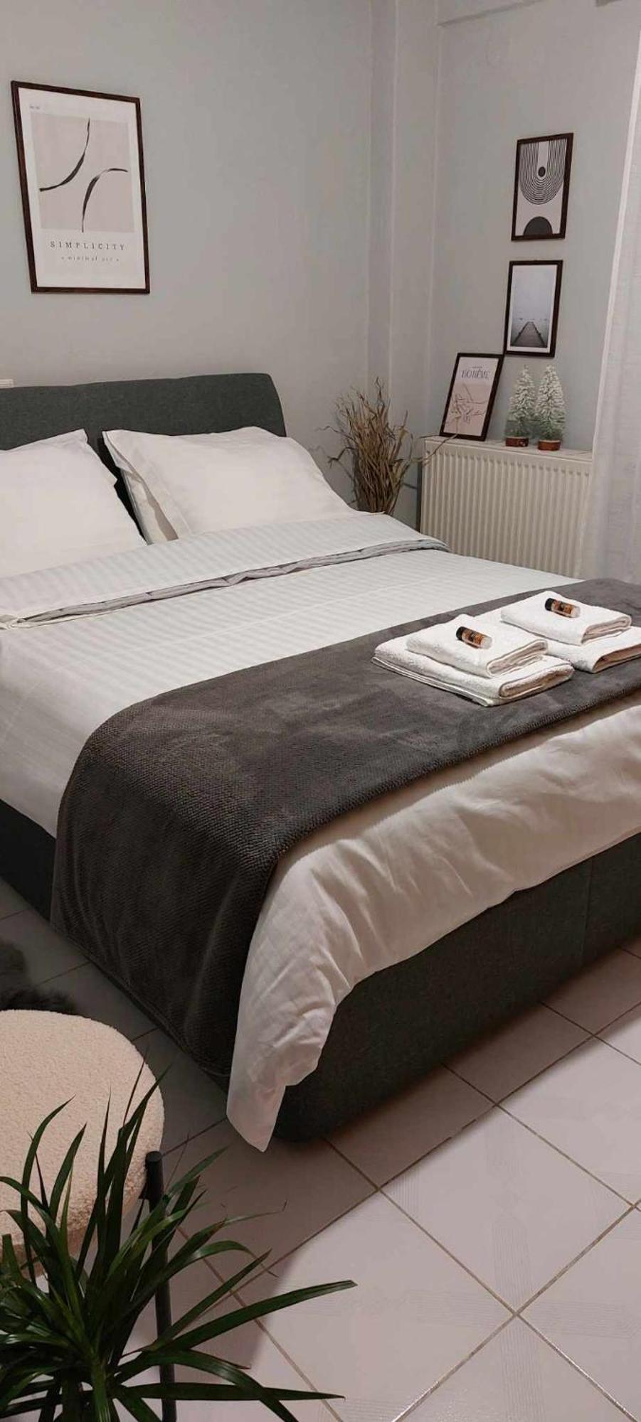 Hermes Modern Apartment Alexandroúpoli Extérieur photo